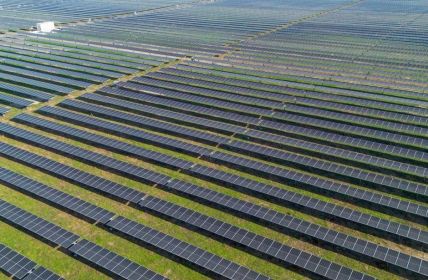 ABO Energy weiht größten Solarpark Ungarns ein (Foto: Babak Zoltan)